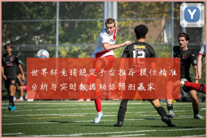 世界杯竞猜稳定平台推荐 提供精准分析与实时数据助你预测赢家