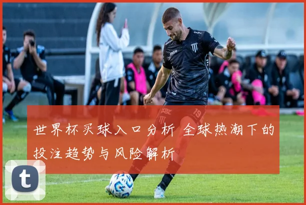 世界杯买球入口分析 全球热潮下的投注趋势与风险解析