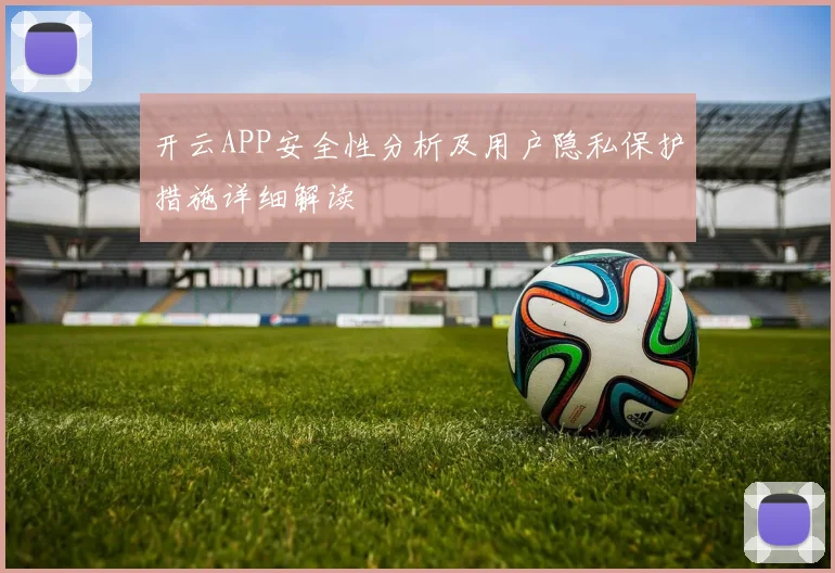 开云APP安全性分析及用户隐私保护措施详细解读
