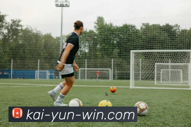 开云平台展示图