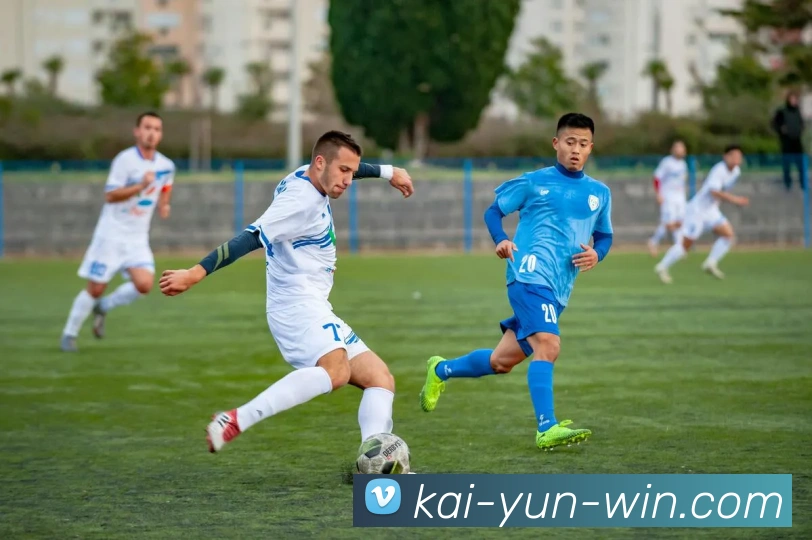 开云体育入口全面解析打造智能体育体验畅享全球赛事盛宴